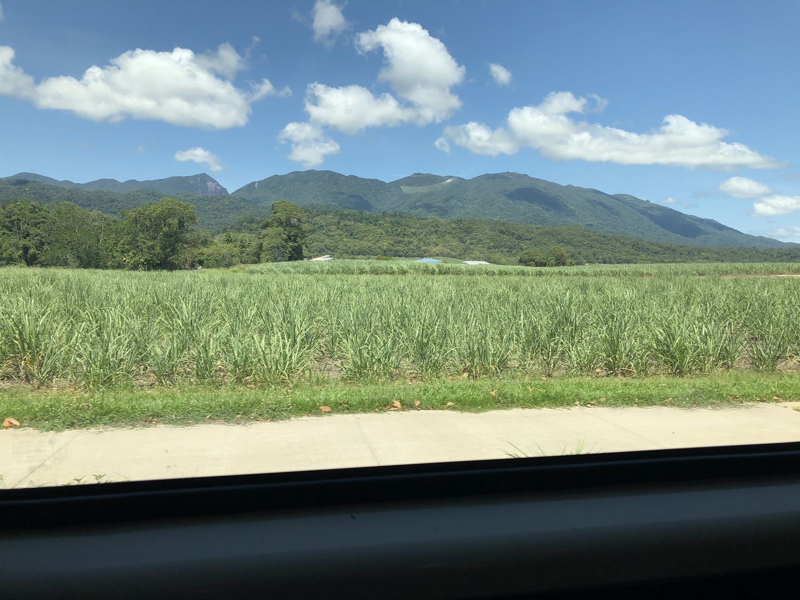Cane fields north of Cairns, photographed by Si and Beth