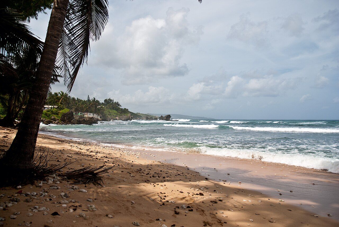 the eastern coast of Barbados is very wild compared with the south and west(the Caribbean Sea part)