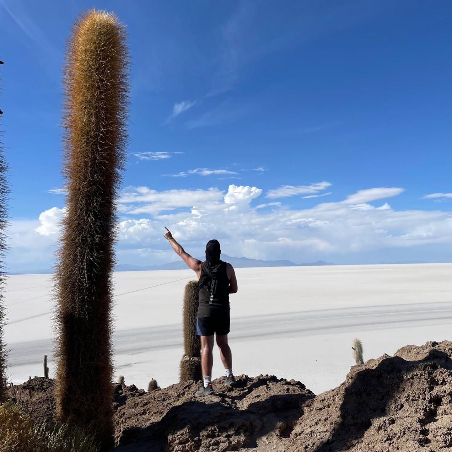 A giant cactus on Isla Incahuasi, photographed by Si and Beth