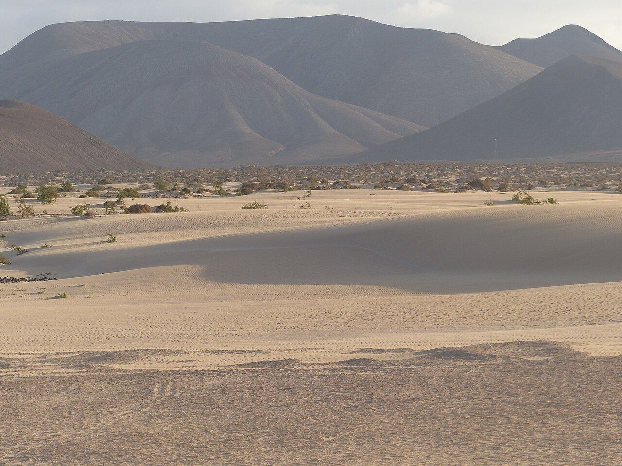 Una sombra, Dunas de Corralejo.