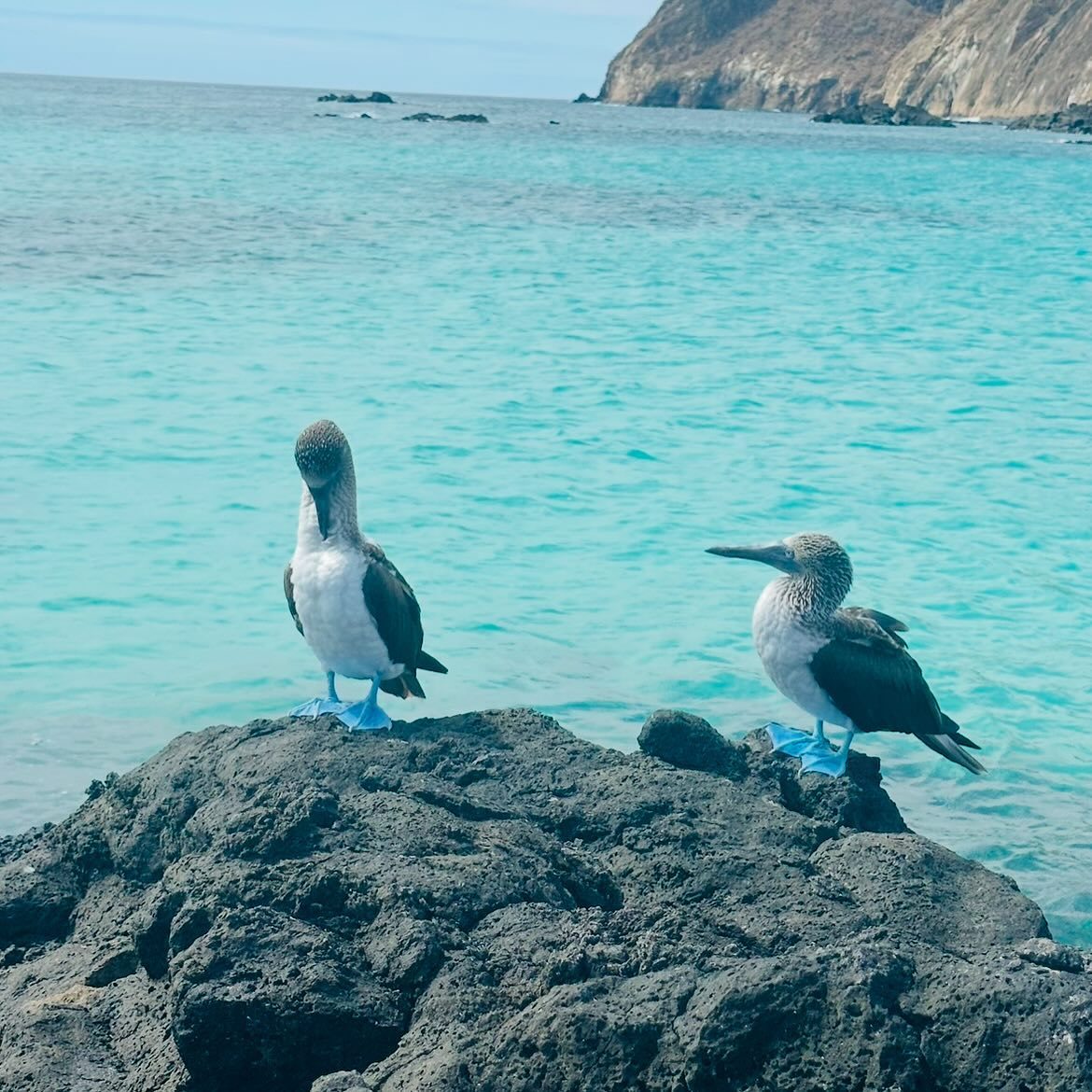 Galapagos Islands