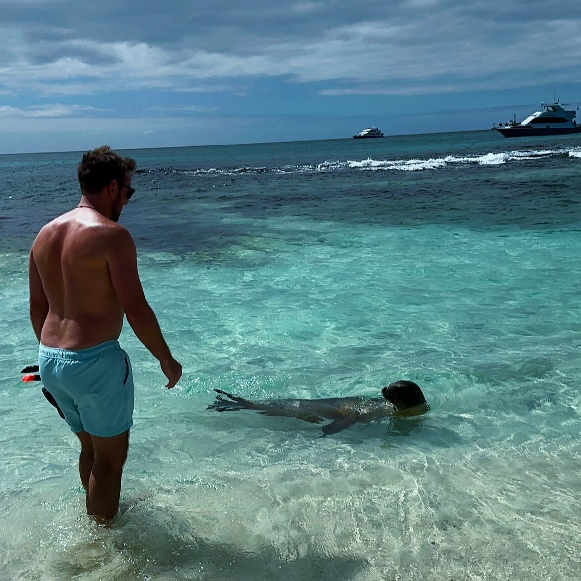 Swimming with a sea lion, photographed by Si and Beth
