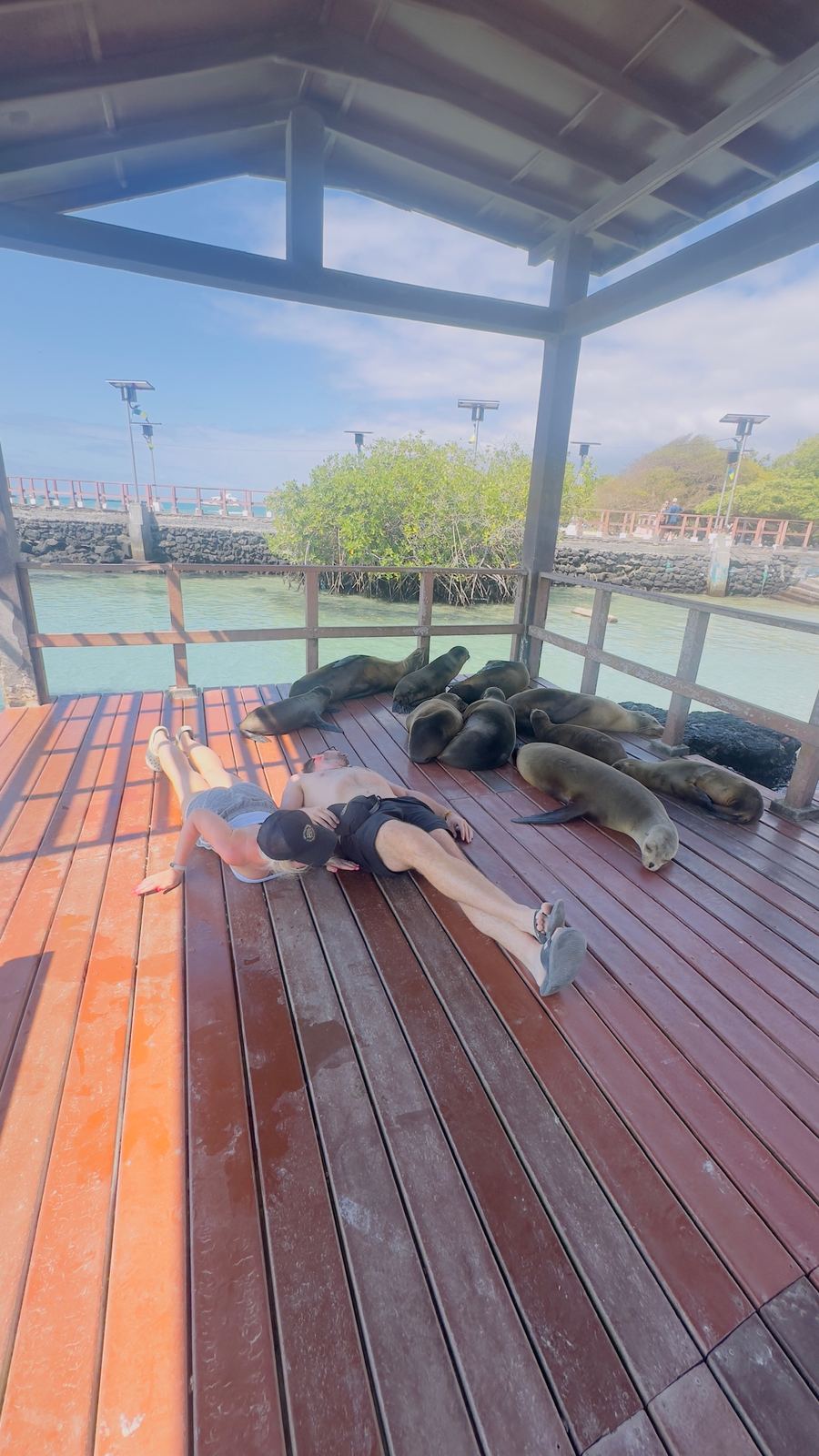 Galapagos, photographed by Si and Beth