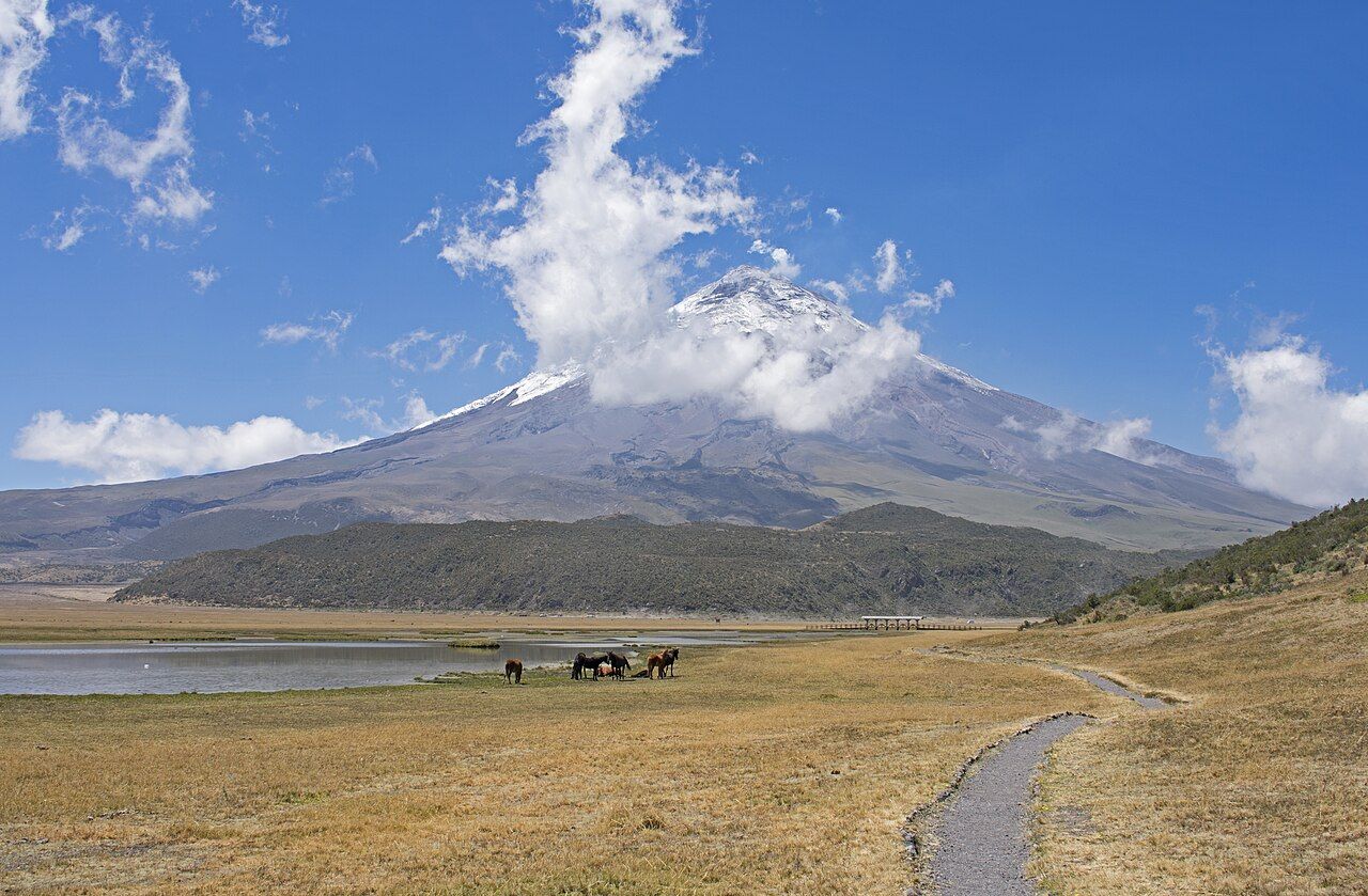 Cotopaxi seen from the trail around Laguna de Limpiopungo, Cotopaxi National Park, Pichincha, Ecuador