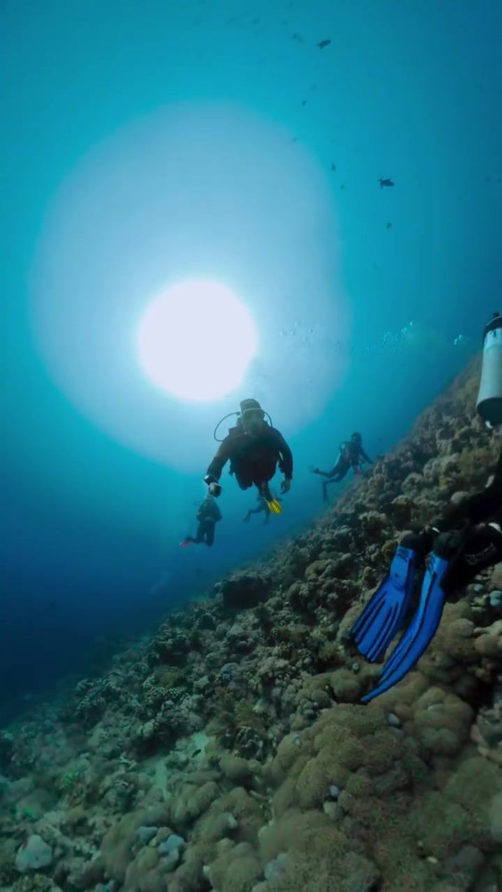Diving in the Red Sea, photographed by Si and Beth