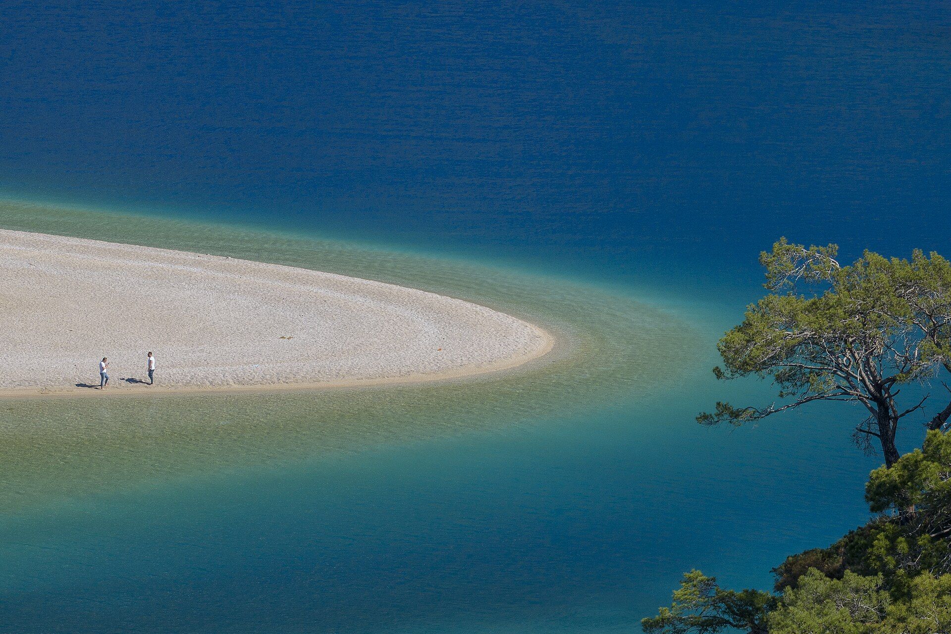 Turkey
