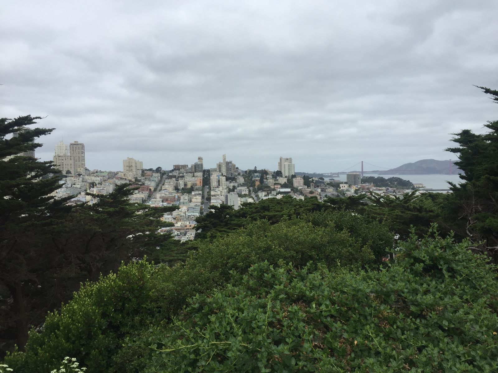 San Francisco from the hills, photographed by Si and Beth