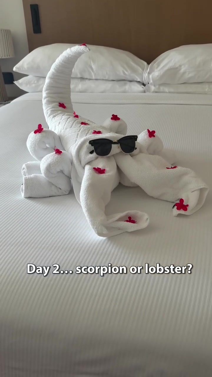 Day 2: scorpion or lobster?