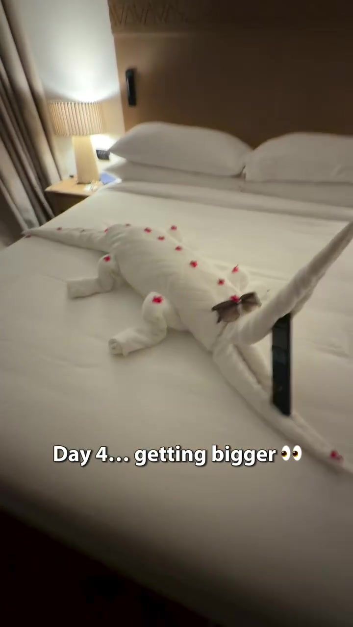 Day 4: getting bigger