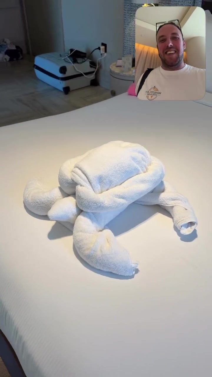 The turtle that started round one in Malta